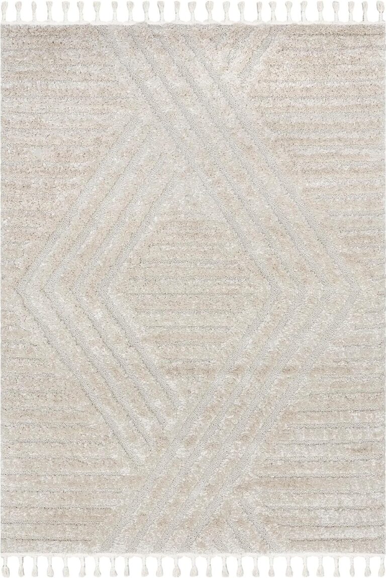 Risette Geometric Shag Tassel Clearance Area Rug